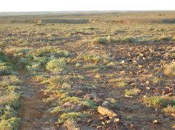 First view of Andamooka Waterhole