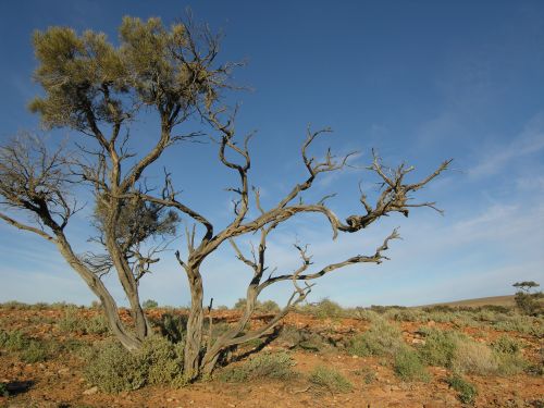 arid_landscape_02.jpg<BR>