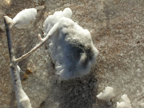 arid_landscape_03.jpg<BR>