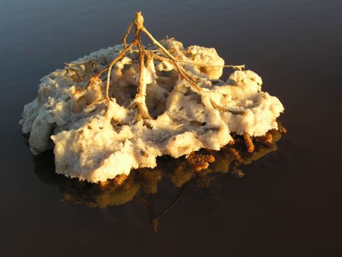 arid_landscape_10.jpg<BR>