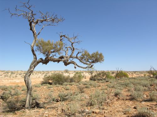 arid_landscape_12.jpg<BR>