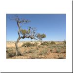 arid_landscape_12.jpg