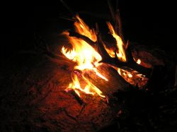 Campfire for some cheer