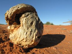 Early morning photography